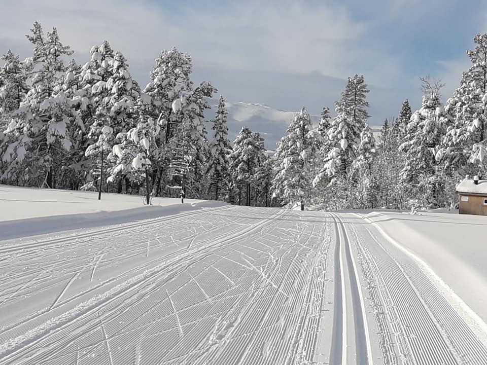 Trening eller samankomst?